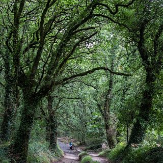 Tierra y destino, de Luis Sáez Rueda