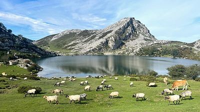 El Parque Nacional de los Picos de Europa en Asturias