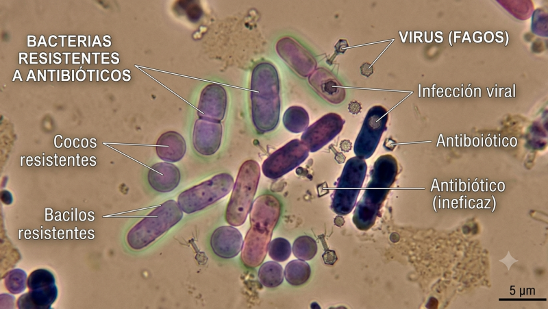 El laboratorio de JAL - La Medicina Personalizada de Precisión contra las resistencias antimicrobianas - 02/07/26 - Escuchar ahora