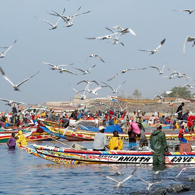 Gas 'offshore' amenaza pesca artesanal en África occidental - Españoles en la mar | Escuchar