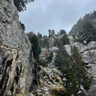 En verano la cebolla en monta�a