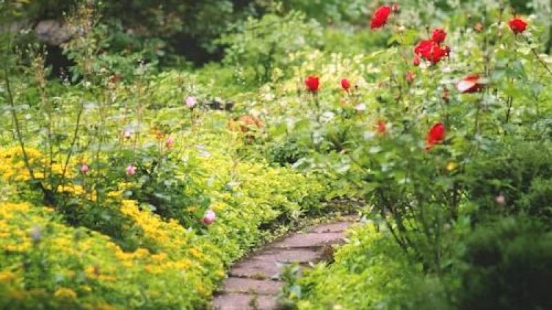 Noches en los jardines - Las bendiciones de un jard�n estival - 03/07/26 - Noches en los jardines | Escuchar