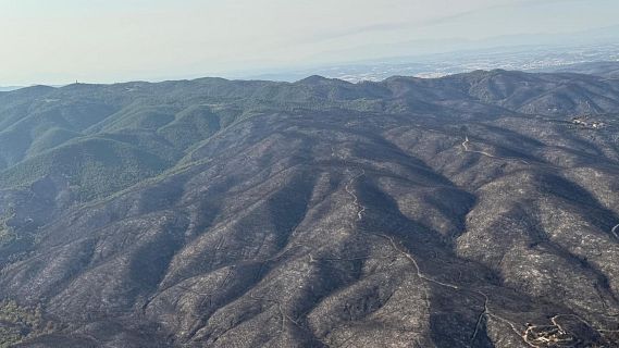 Incendi a les Gavarres: 2.200 hect�rees afectades