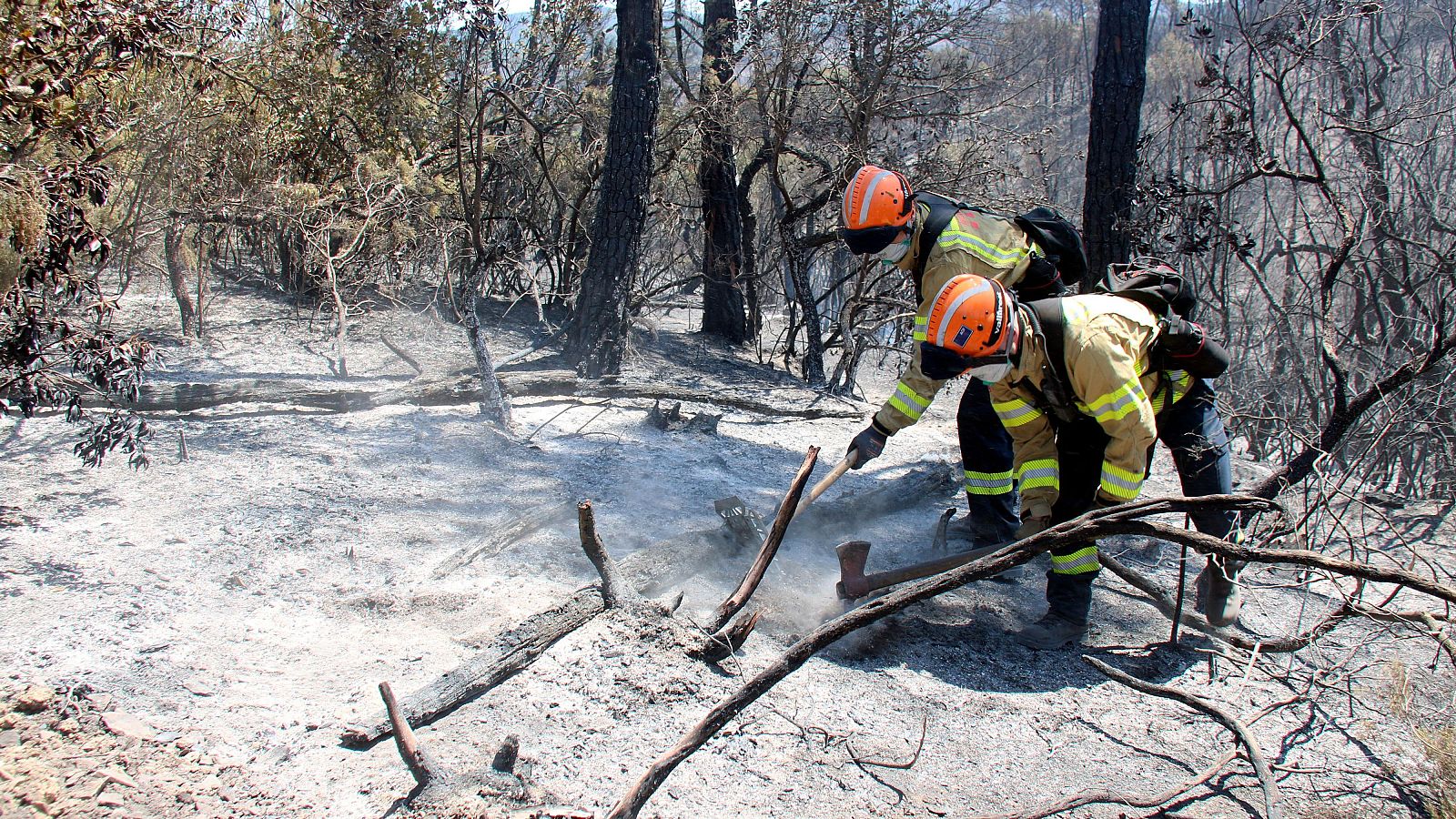 La calor i el vent compliquen el control de l'incendi de les Gavarres