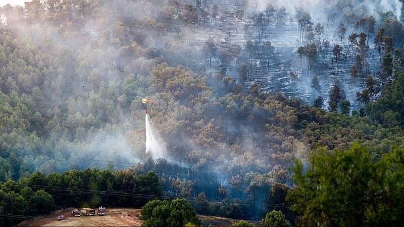 El mat� de R�dio 4 - Jos� Luis L�pez, inspector del cos de Bombers: "El foc m�s preocupant �s el de Sentmenat, al Vall�s" - El mat� de R�dio 4 | Escoltar