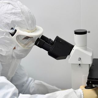 Impostores de la ciencia: casos reales de fraude cient�fico