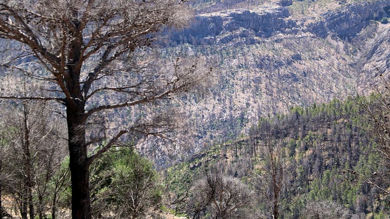 Un any de l'incendi de Paüls: més de 3.320 hectàrees cremades i un bomber mort