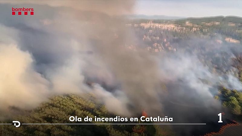 L'Entrellat - Francesc Boya: "L'incendi que m�s ens preocupa �s el de Sentmenat. Queda lluny per tenir-lo controlat" - L'Entrellat | Escoltar