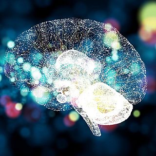 Reprogramar las defensas del cerebro contra el alzhéimer