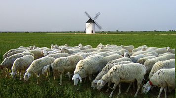 La Mancha: patrimonio gastronómico y valor en el mundo rural