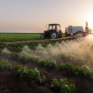 PAC: ayuda extraordinaria para la compra de fertilizantes
