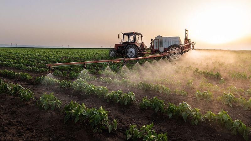Mundo rural - PAC: ayuda extraordinaria para la compra de fertilizantes - 13/07/26 - Escuchar ahora