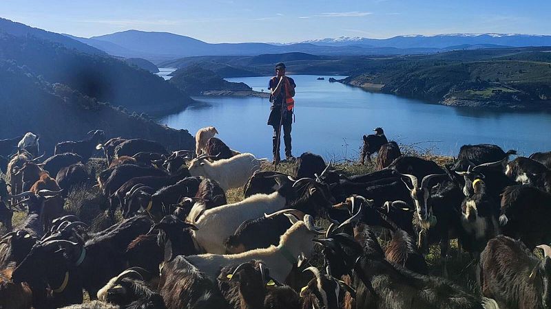 English Language Broadcast - A new generation of shepherds - English Language Broadcast | Listen