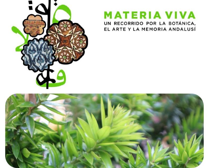 Escapadas - Materia Viva - 16/07/26 - Escuchar ahora