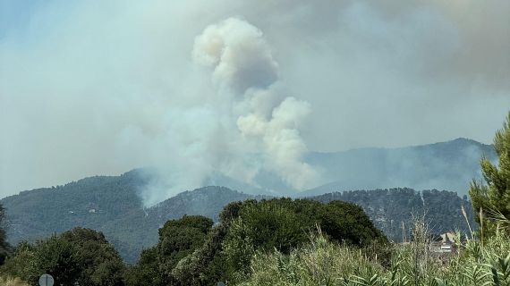 Els incendis tornen a posar a prova el model forestal