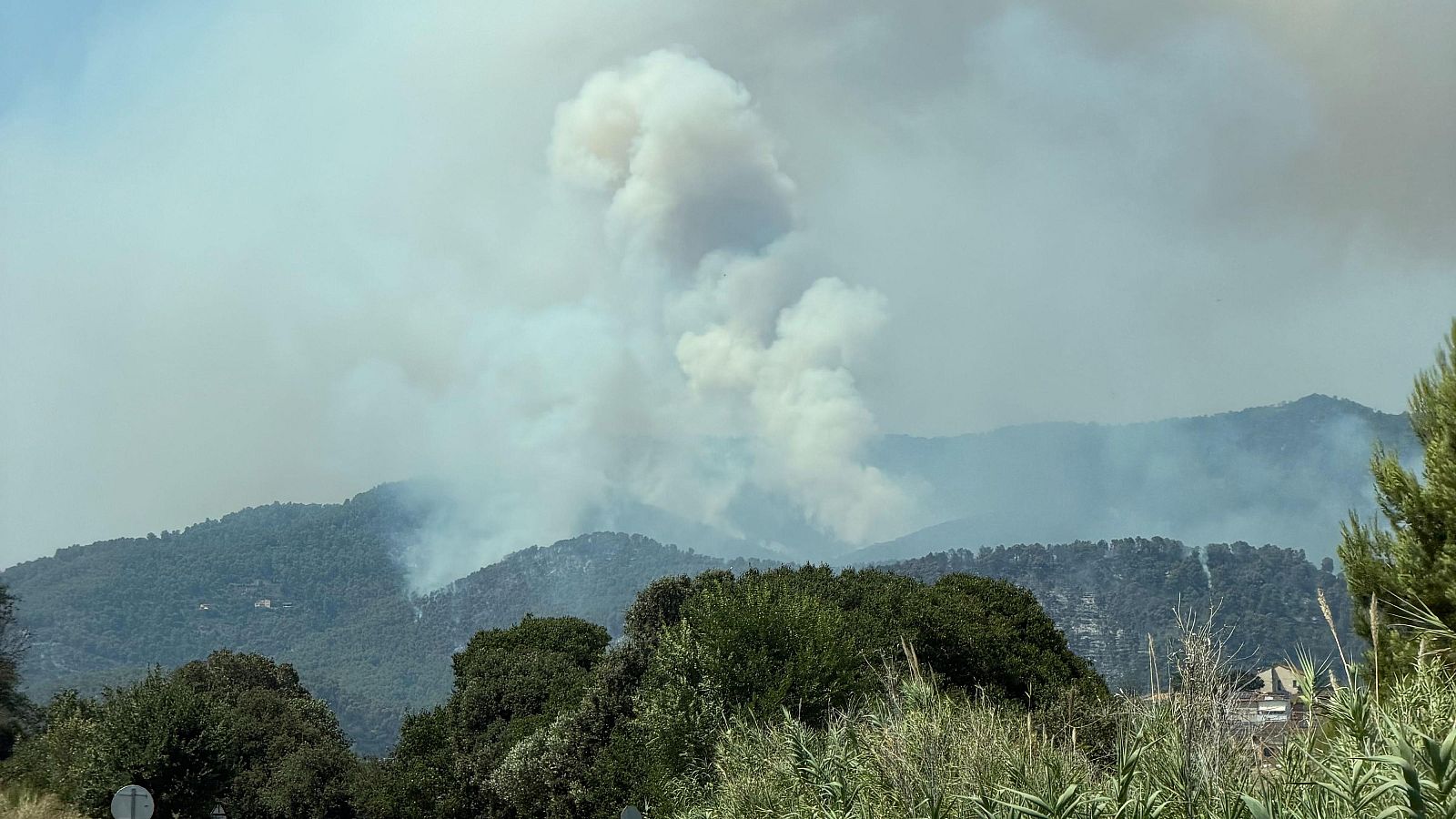 Els incendis tornen a posar a prova el model forestal