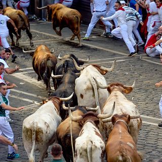 AUDIO | Los toros de La Palmosilla protagonizan un rápido sexto encierro