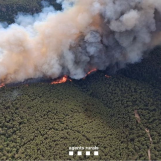 2.500 confinats i més de 300 persones evacuades per l'incendi de l'Alt Camp: 150 hectàrees cremades