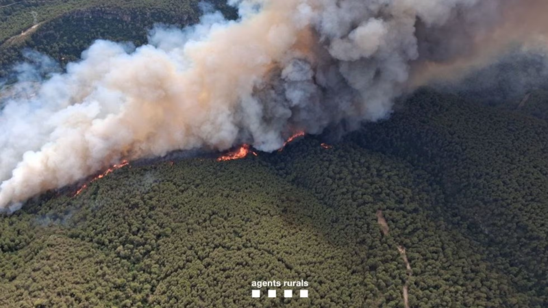 El mat� de R�dio 4 - 2.500 confinats i m�s de 300 persones evacuades per l'incendi de l'Alt Camp: 150 hect�rees cremades - El mat� de R�dio 4 | Escoltar