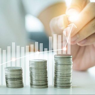 L'elevada càrrega fiscal penalitza la inversió de l'estalvi familiar