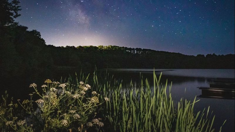 Noches en los jardines - Perfumes de la noche? - 13/07/26 - Noches en los jardines | Escuchar