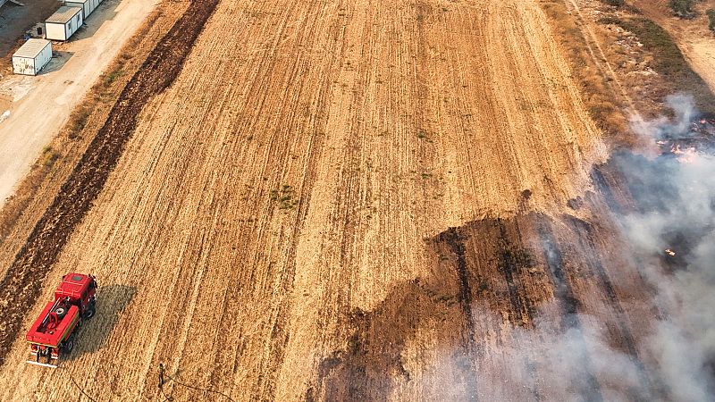 Mundo rural - Impactos de las olas de calor y los incendios en la agricultura - 15/07/26 - Escuchar ahora
