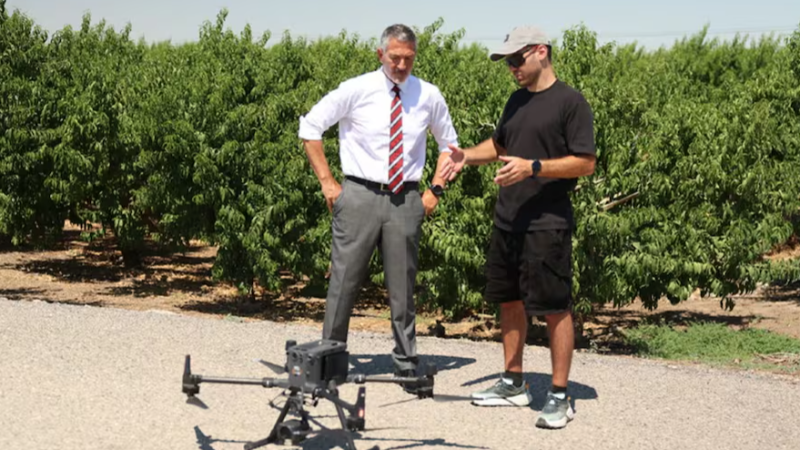 El mat� de R�dio 4 - Catalunya vigila amb drons que els temporers treballin protegits de la calor per evitar abusos - El mat� de R�dio 4 | Escoltar