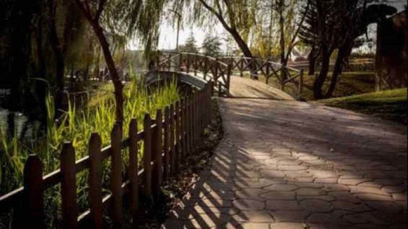 Atriles entre los �rboles - Diario de una soledad, de May Sarton - 14/07/26 - Atriles entre los �rboles | Escuchar
