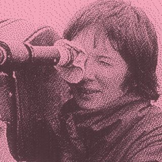 'Feminismes fílmics: 1976-2026' a la Filmoteca de Catalunya