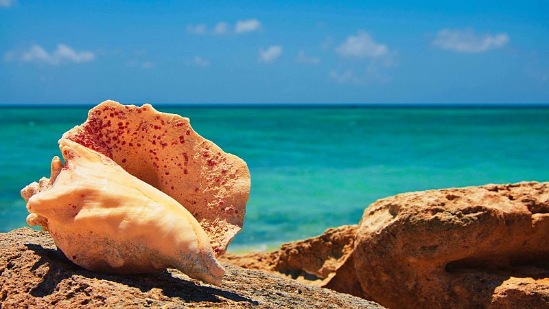 Vistas al mar I - Scherzo y capricho veraniego - 15/07/26 - Vistas al mar | Escuchar