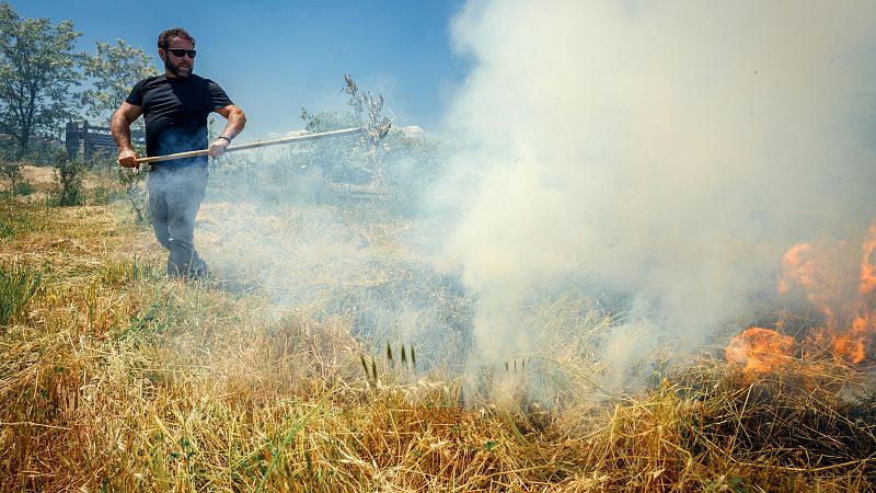 Mundo rural - Ganadería y agricultura contra el fuego - 17/07/26 - Escuchar ahora