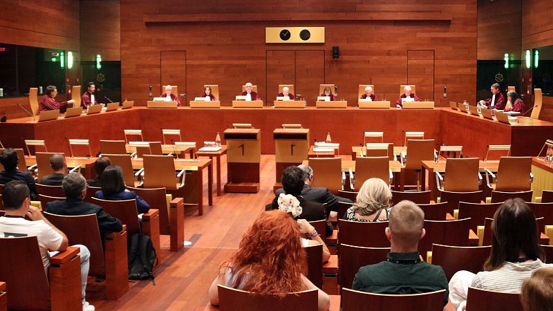 El TJUE avala el gruix de la llei d'amnistia i en valida l'encaix amb el dret europeu