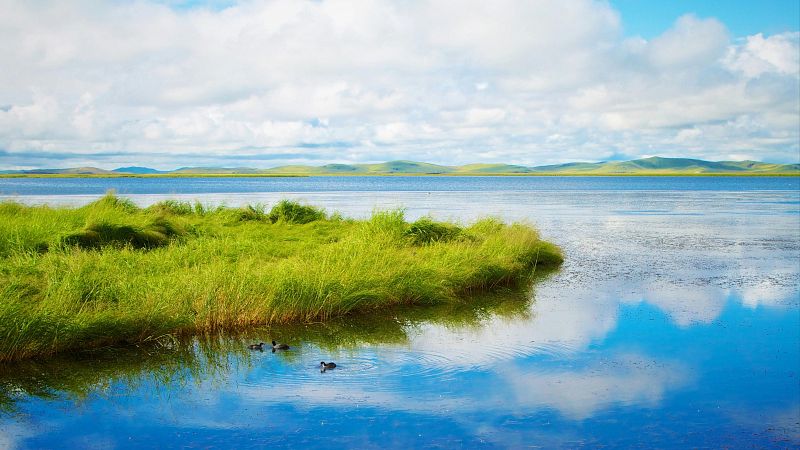 Reflejos en el agua I - Una nueva vida - 16/07/26 - Reflejos en el agua | Escuchar