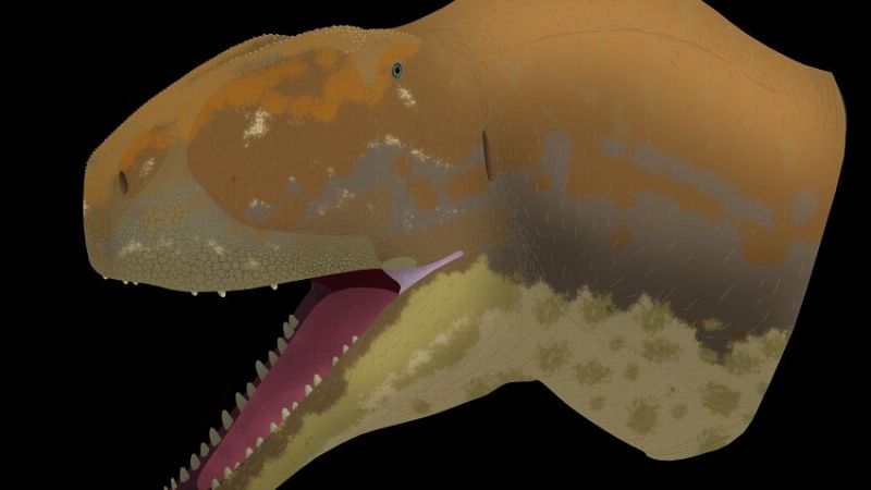 Reportajes Emisoras - Guadalajara  - Dinosaurios - 20/07/26 - Escuchar ahora