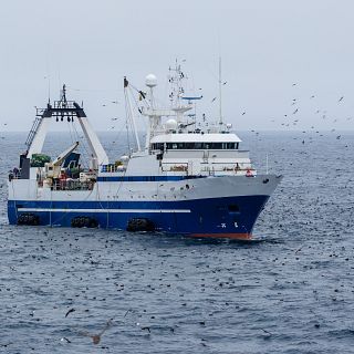 Tecnología española para una pesca más sostenible en Belice