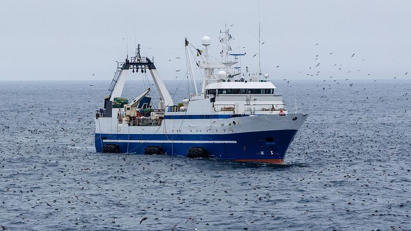 Tecnología española para una pesca más sostenible en Belice - Españoles en la mar | Escuchar