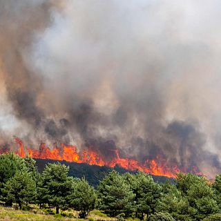 Incendio de la sierra norte de Guadalajara: "Ha sido salvaje"