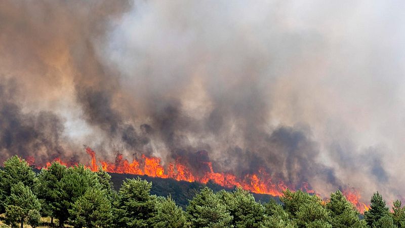 Incendio de la sierra norte de Guadalajara: "Ha sido salvaje" - Las mañanas de fin de semana | Escuchar