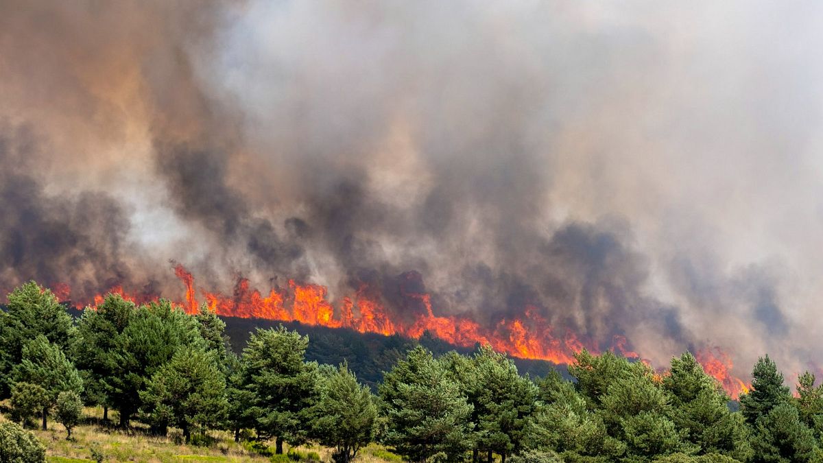 Les incendies et les travailleurs forcés espagnols du nazisme