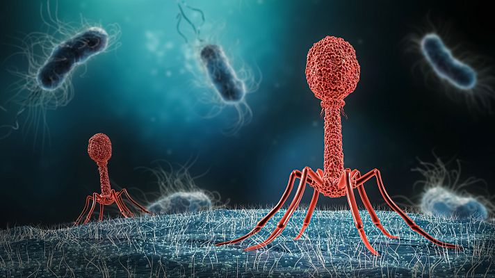 Virus y bulos en la historia de la Ciencia - Marca España
