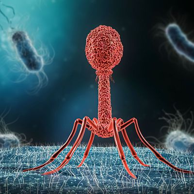 Virus y bulos en la historia de la Ciencia - Marca España
