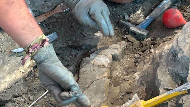 Logroño -  "Dinosaurios Igea" - 24/07/26 - Escuchar ahora