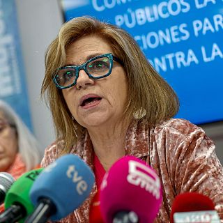 Elena Valenciano: "Zapatero no debería haber ido a televisión"
