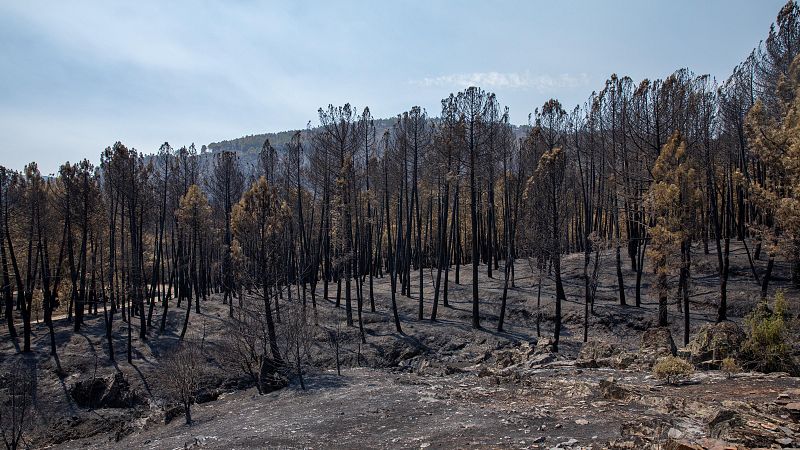 El incendio de La Mierla tardará días en extinguirse por completo - Castilla-La Mancha Informativos | Escuchar