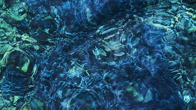 HIBIKI: Ichiko Aoba: 'Luminiscent Creatures'