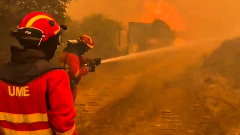 Más cerca - Tras los grandes incendios, ¿cómo reforestar? - Escuchar ahora