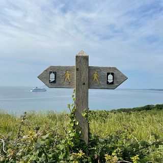 Cruce de caminos