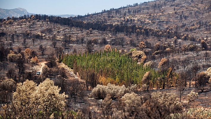Contra los incendios del porvenir