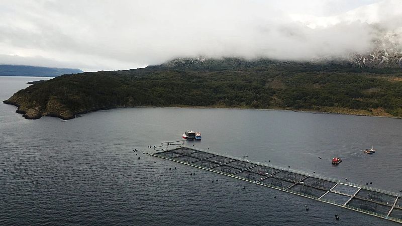 Hora América en Radio 5 - La megarreforma que amenaza la naturaleza en Chile - 26/07/26 - Escuchar ahora