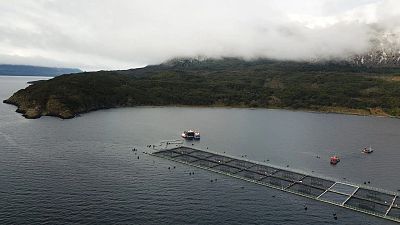 Hora América en Radio 5 - La megarreforma que amenaza la naturaleza en Chile - 26/07/26 - Escuchar ahora